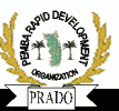 PEMBA RAPID DEVELOPMENT ORGANISATION