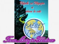 Bahi Environmental Network (BAENET)