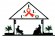 Counselling and Family Life Organization (CAFLO)