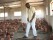 Koperative Ubumwe Batsinda