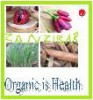 Zanzibar Organic Spices Growers