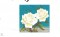 The White Rose Organization