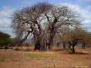 Kingiti School Scholarship and Village Health Outreach Fund, Inc.