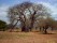 Kingiti School Scholarship and Village Health Outreach Fund, Inc.