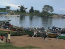 Nyang'ombe Community Action Group