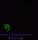 Society Empowerment Agency