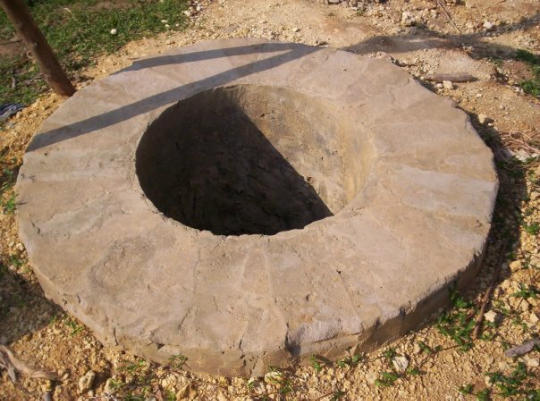 large.jpg