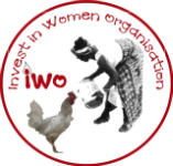 INVEST IN WOMEN ORGANIZATION