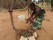 TANZANIA HOME ECONOMICS ASSOCIATION-TAHEA