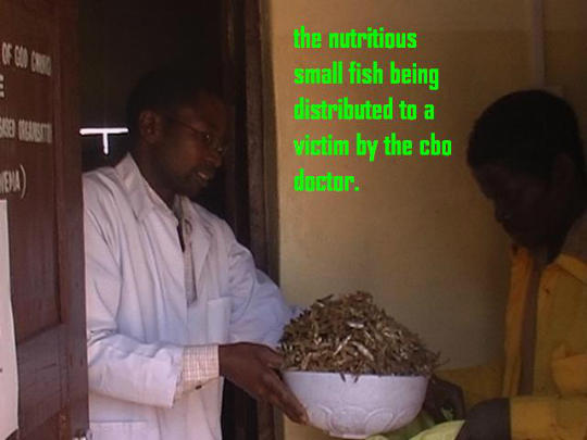 large.jpg