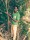 Environmental Education Initiative