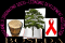 BIHARAMULO ORIGINATING SOCIO - ECONOMIC DEVELOPMENT ASSOCIATION