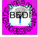 BEYOND EDUCATION DEVELOPMENT INITIATIVES (BEDI)
